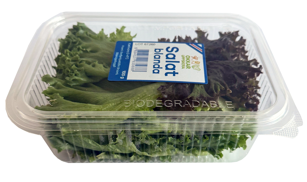 Salatblanda Brúará 16x100gr