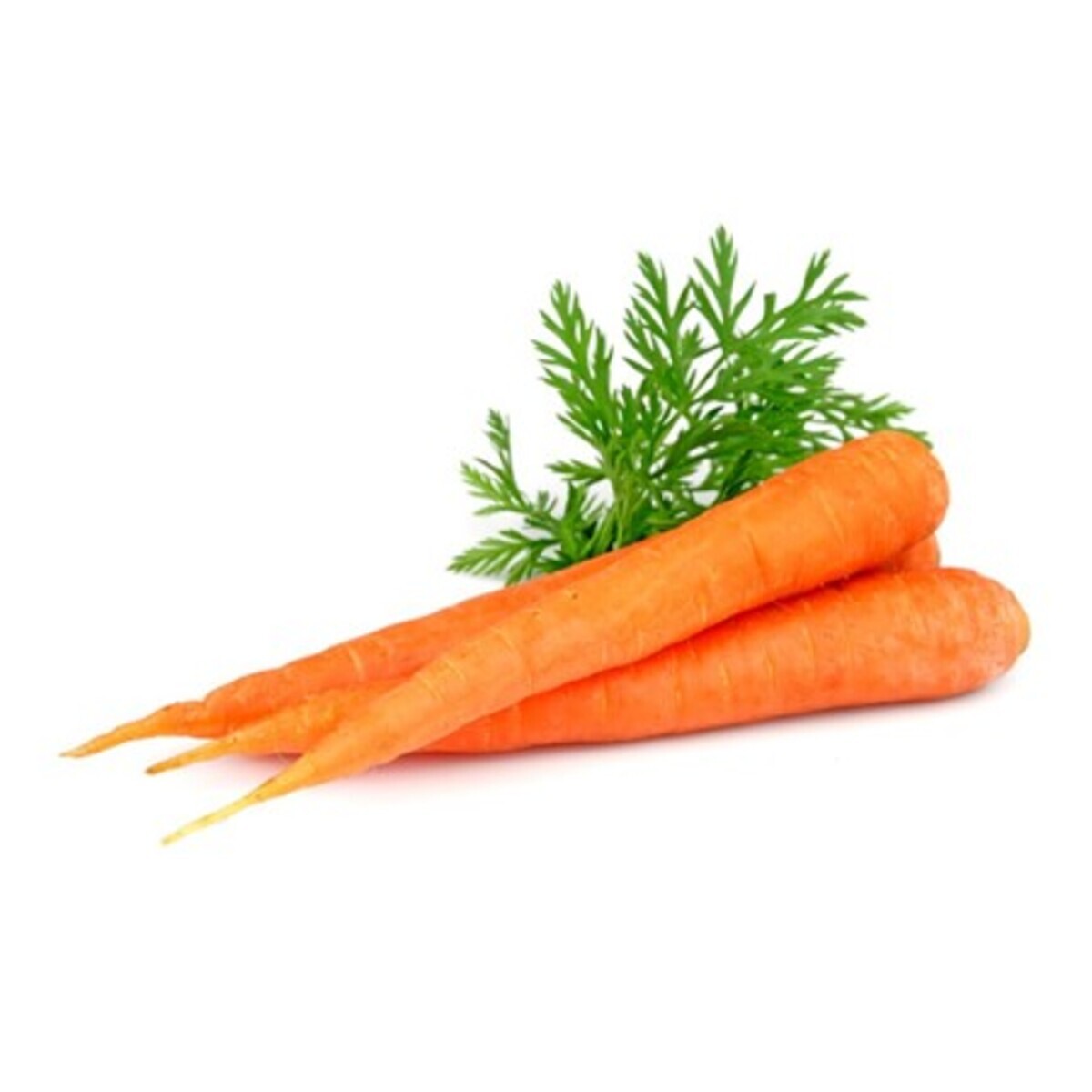 Radísur 10x1kg