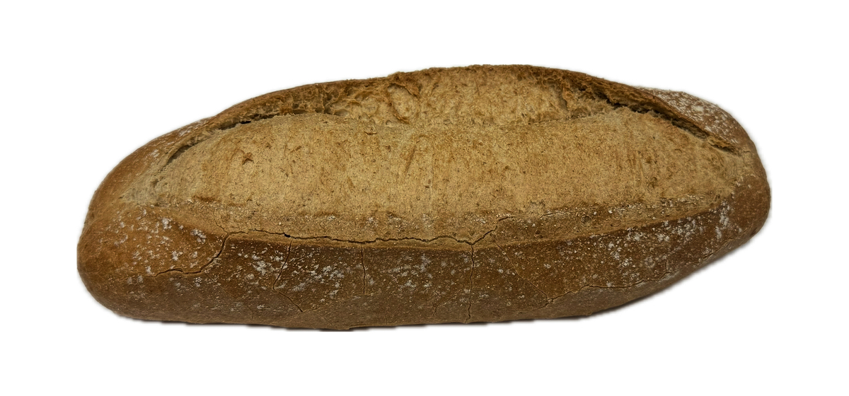 Neuhauser