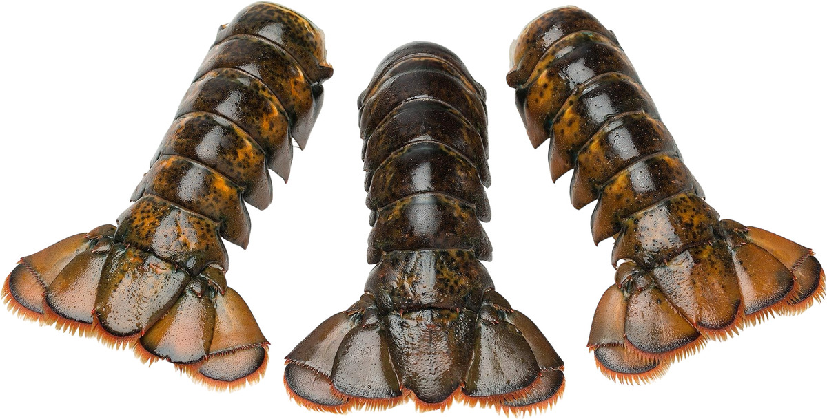 Humarhalar USA Hráir 4/5 OZ 4,54kg