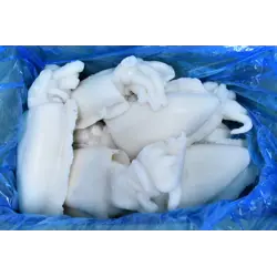 Smokkfiskur Heill U1 10kg