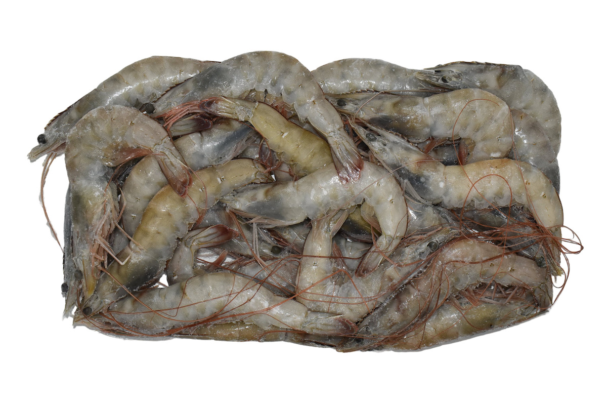 Risarækja HOSO 20/30 - 12x800g