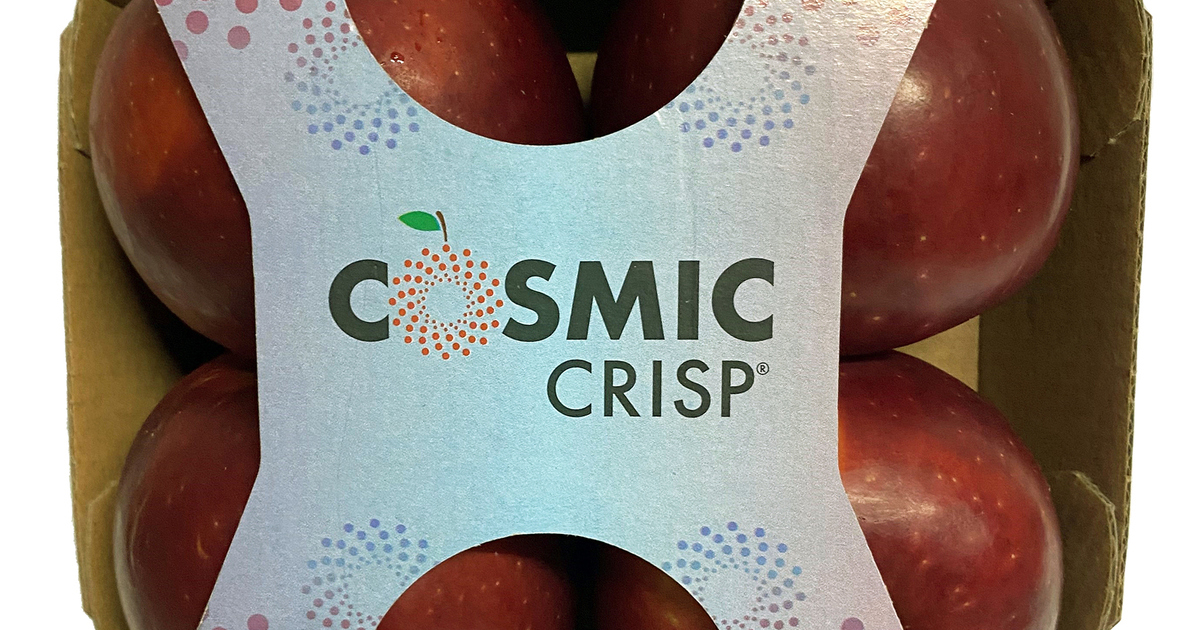 Epli Cosmic Crisp - Innnes heildverslun