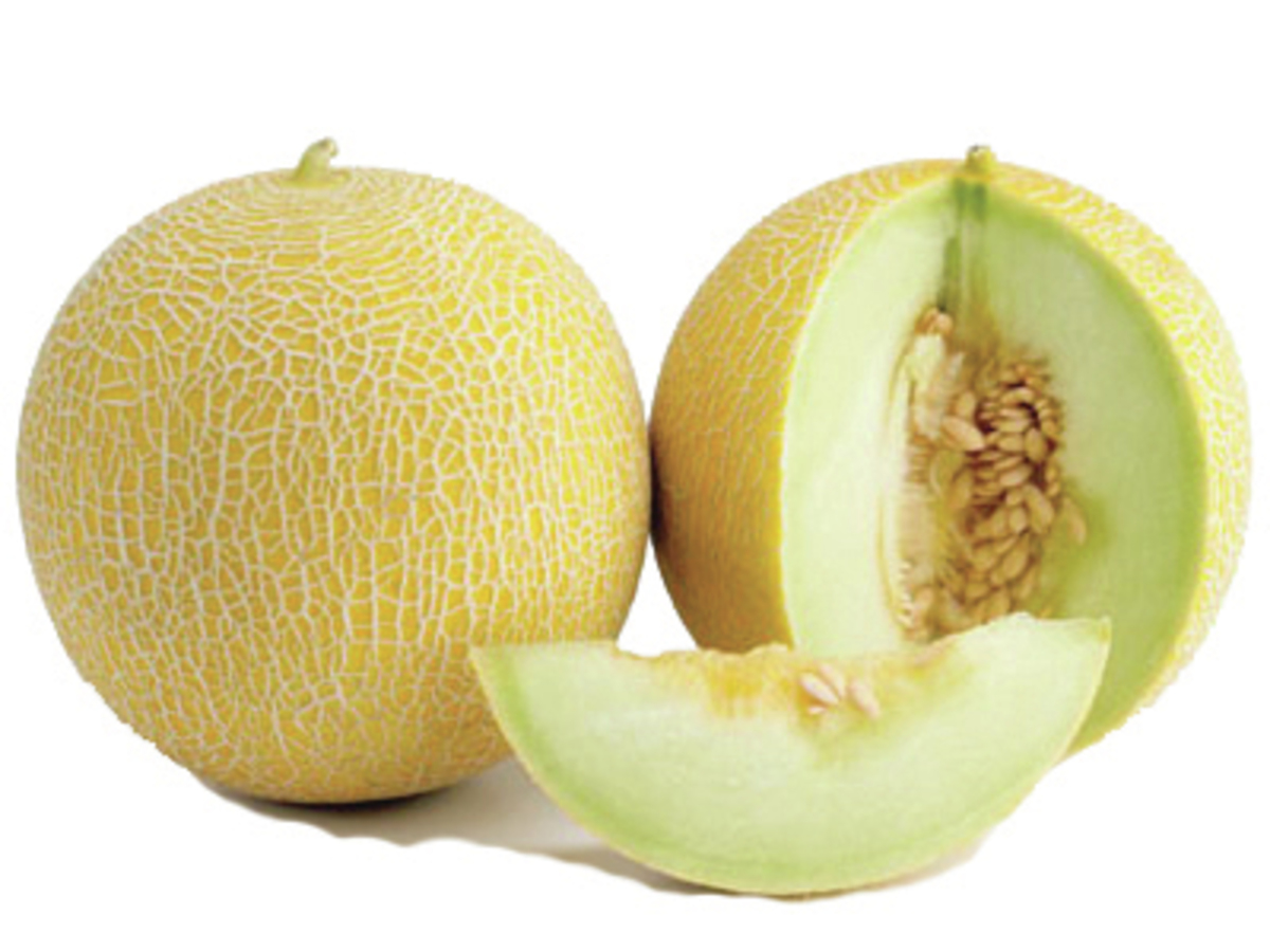 Melónur Galía  kg/ks