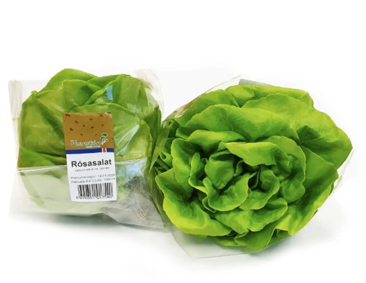 Rósasalat ÍSL 12 stk/ks SFG