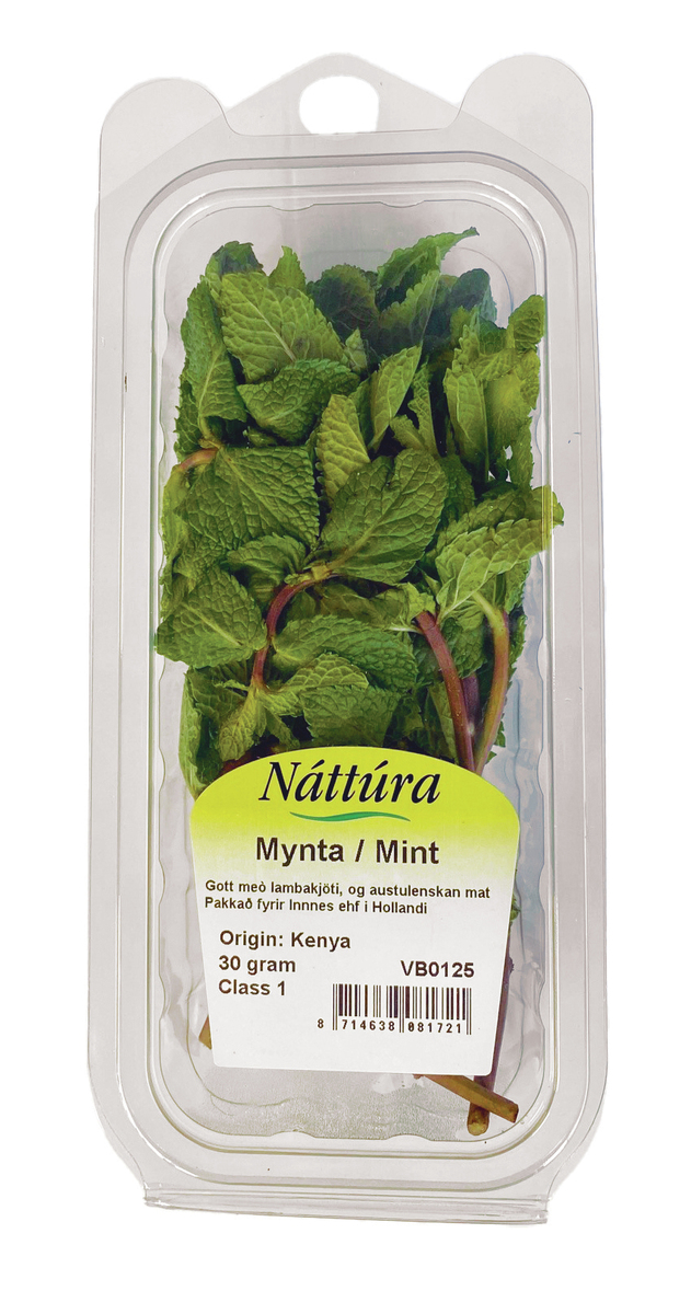 Náttúra Mynta (mint) 12x30gr (FL)
