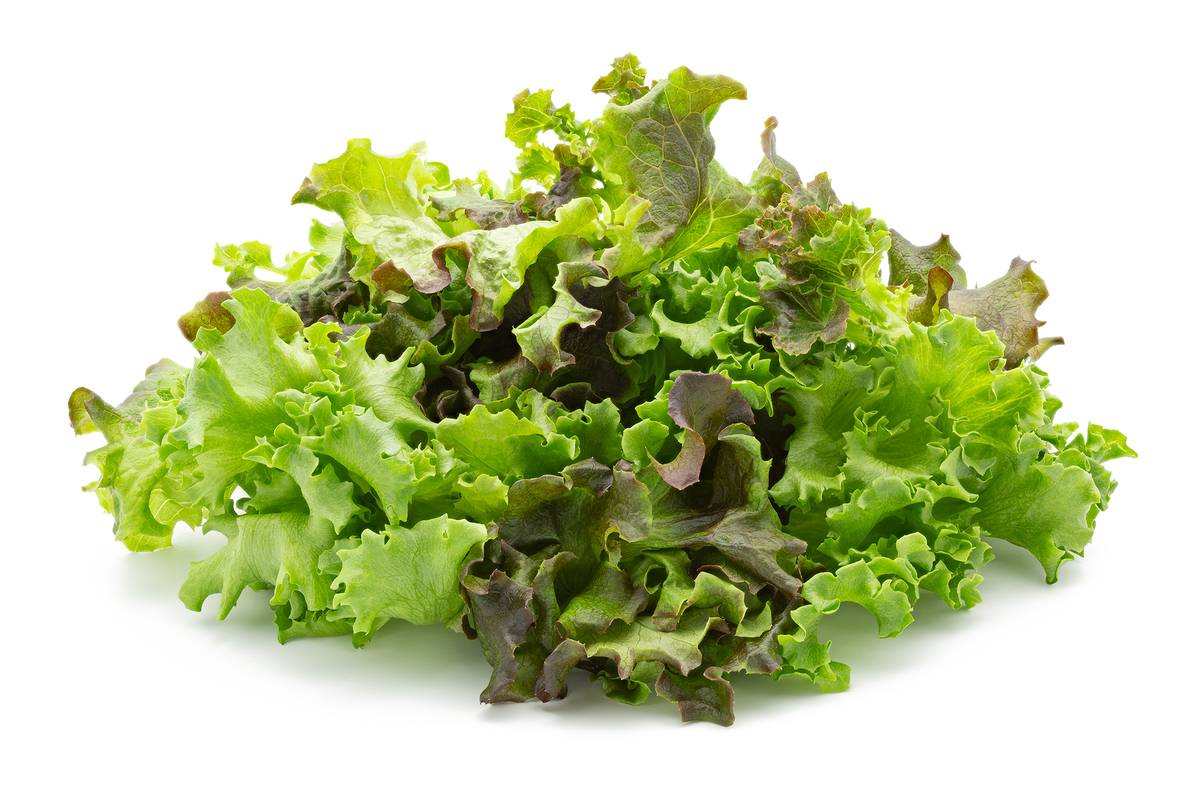 Vaxa Salatblanda 3x1 kg