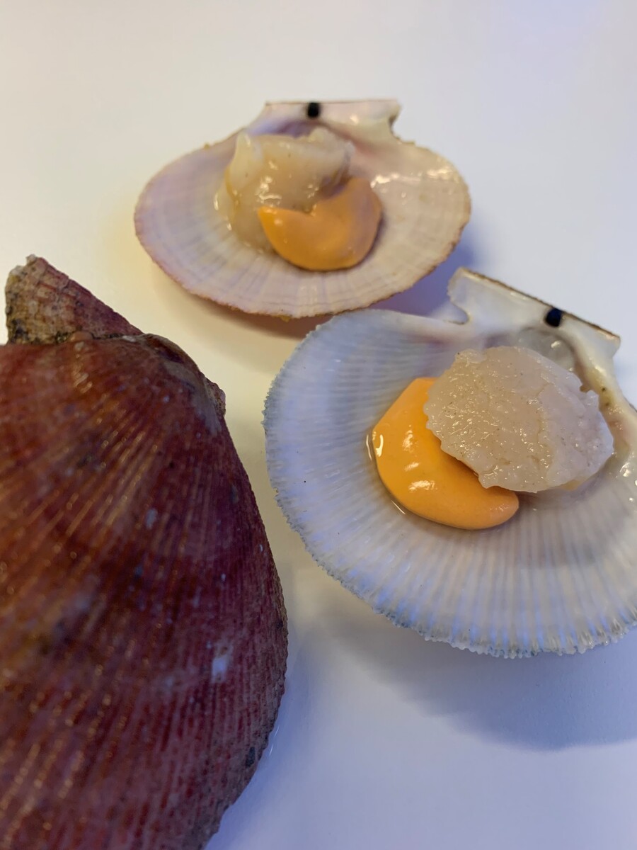 Hörpuskel heil í skel Íslensk 10kg